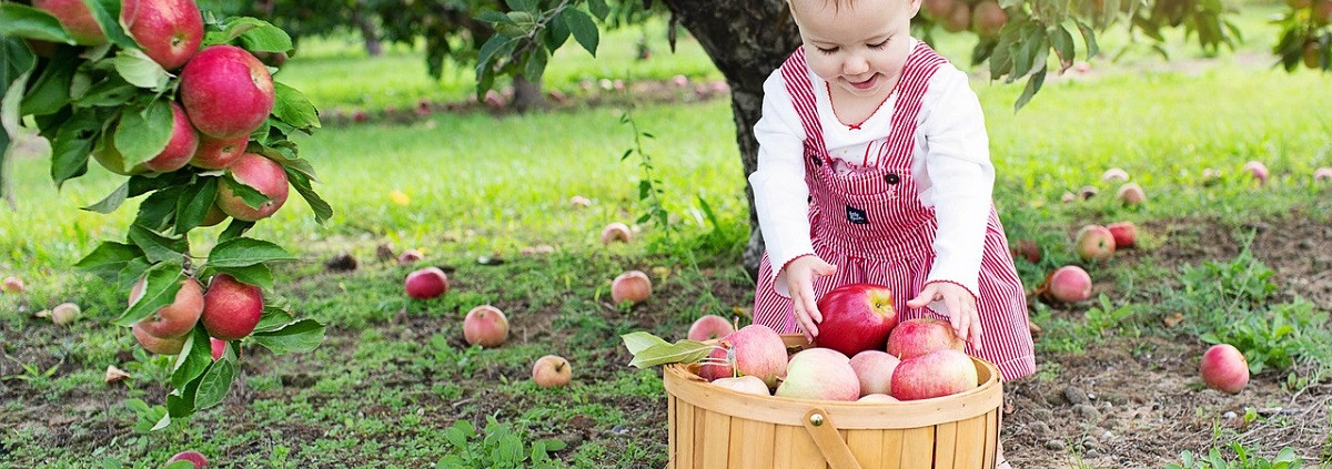 Loon medewerkende kinderen